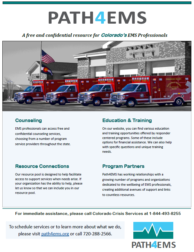 PATH4EMS Flyer