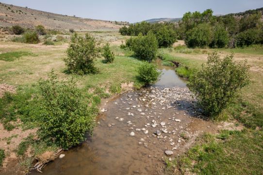 Stream winding through open space with small bushes on either side