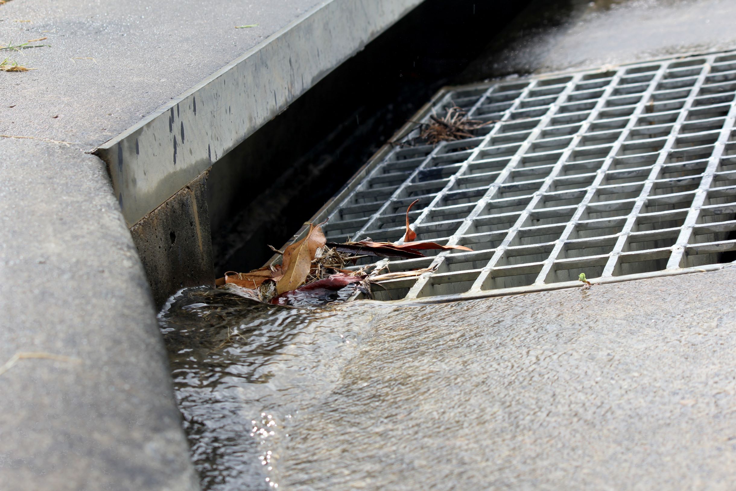 water running into a stormwater drain on the side of the road with leaves stuck at the entrance