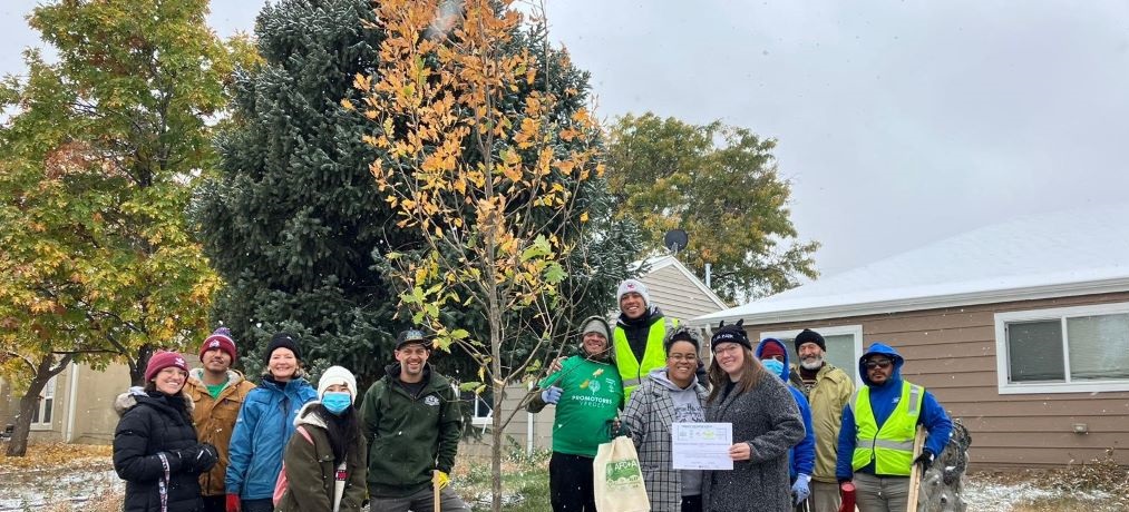 people planting trees