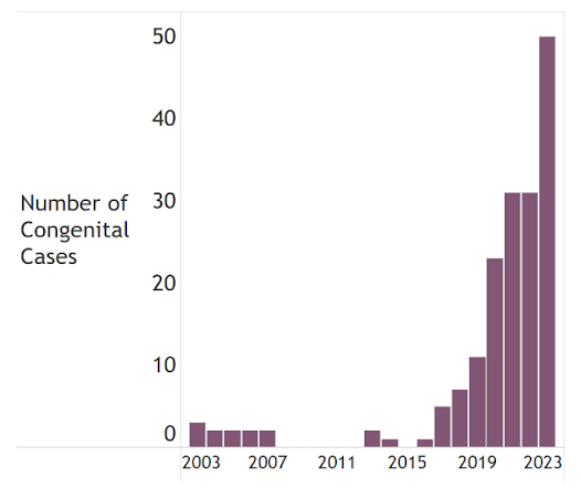 Graph showing an increase in rates of congenital syphilis from three cases in 2003 to 50 cases in 2023.