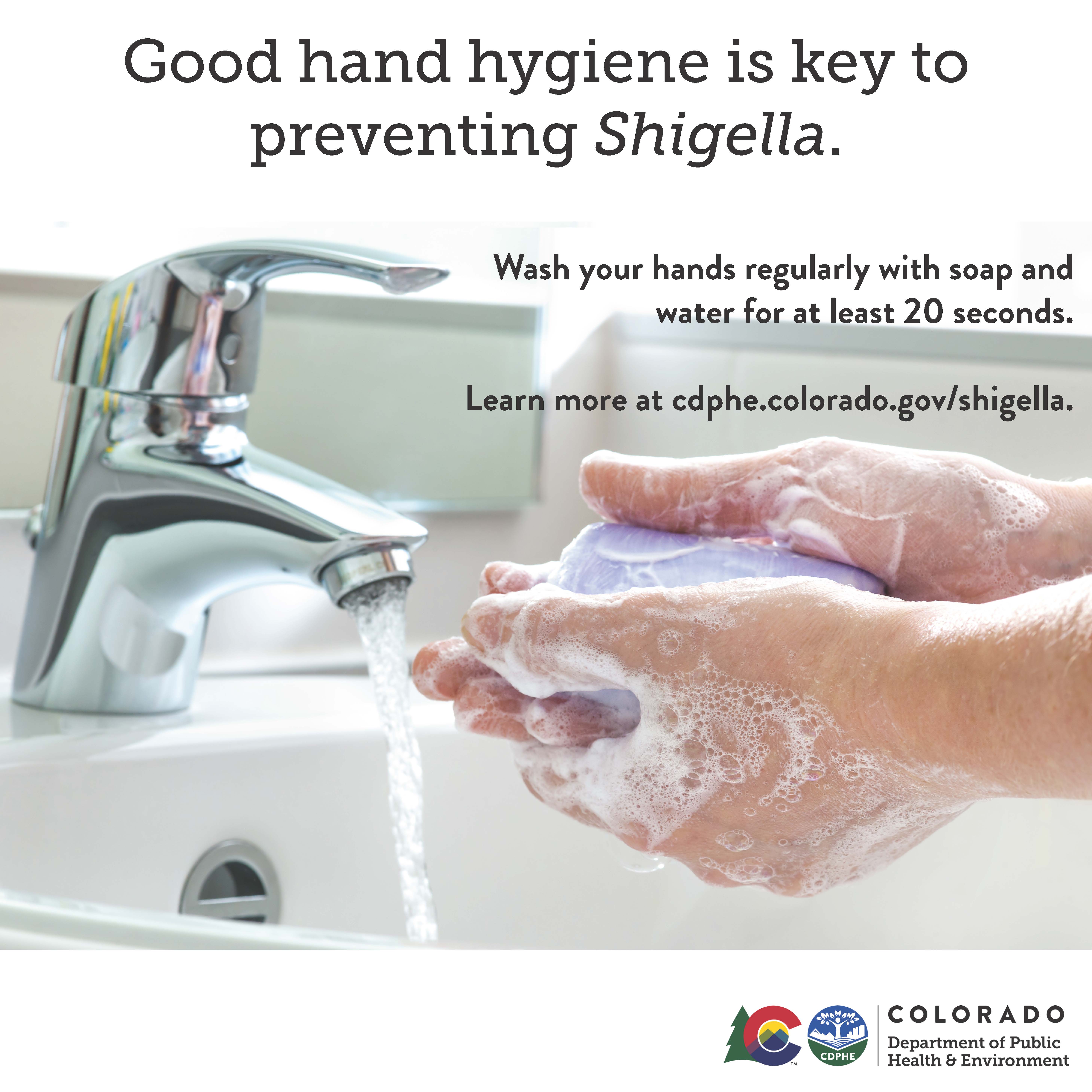 Good hand hygiene is key to preventing Shigella