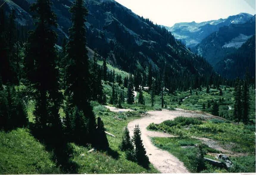 72 acres of alpine habitat in Yankee Boy Basin.