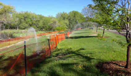 Wetland repair and revegetation areas along Bear Creek, between Wadsworth and Sheridan on W. Dartmouth Avenue.