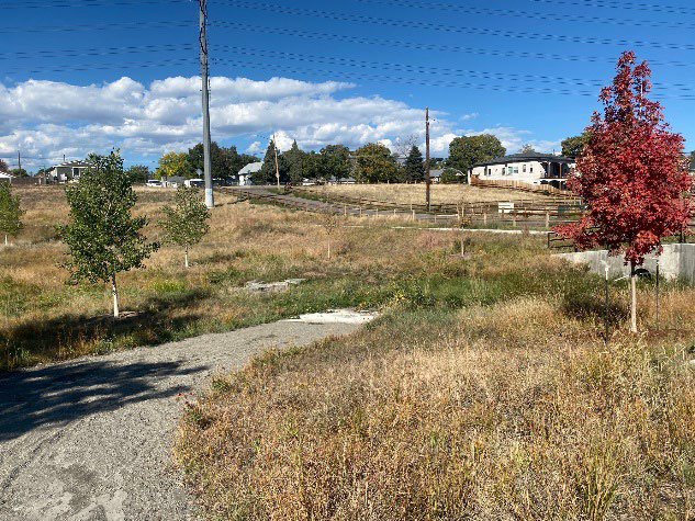 Restored prairie grass area in Globeville at Platte Farm Open Space.