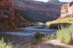 The confluence of the San Miguel River and Dolores River where the West End Economic Development Project will manage invasive weeds.